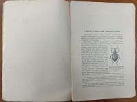 IMG_20250417_094815.jpg