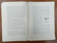 IMG_20250417_102906.jpg