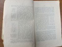 IMG_20250417_112021.jpg