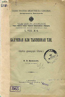 Бахчевая или тыквенная тля (Aphis gossypii Glow.)