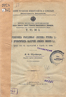 Древесница въедливая Zeuzera pyrina L. и древоточец пахучий (Cossus Cossus L.), вред их в садоводстве и борьба с ними