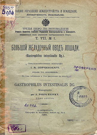 Большой желудочный овод лошади Gastrophilus intestinalis Dg.