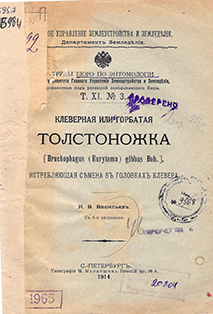 Клеверная или горбатая толстоножка (Bruchophagus (Eurytoma) gibbus Boh.), истребляющая семена в головках клевера