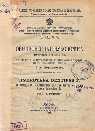 Обыкновенная зубоножка (Hydrotaea dentipes F.), ее биология и истребление личинками ее личинок комнатной мухи
